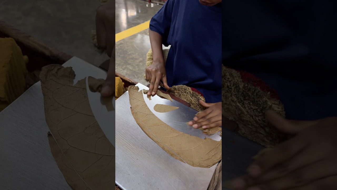 Polishing off another EGM Puro inside the Factory in 🇩🇴😍