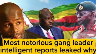 Most notorious gang led by Kudakwashe Tagwirei and Wicknell Chivayo, intelligent reports leaked 