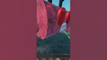 Making Snare Flea from Lethal Company in Roblox Studio Part 1 #roblox #robloxstudio #lethalcompany