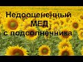 7 полезных свойств подсолнечникового меда