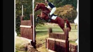 Another Little Horse Video