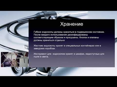 Видео: Эндоскопия: что это такое, зачем некоторым животным это нужно