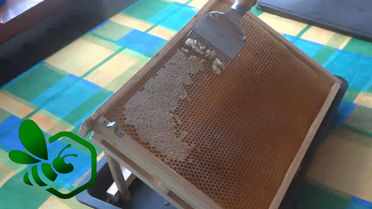 Pasieka Początkującego Pszczelarza - #10 Kręcenie miodu czyli wirowanie :)