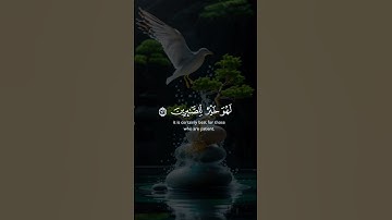 #تلاوة_خاشعة ولئن صبرتم لهو خير لصابرين #قران_كريم #قرآن #راحة_نفسية #ماهر_المعيقلي #اكسبلور #لايك