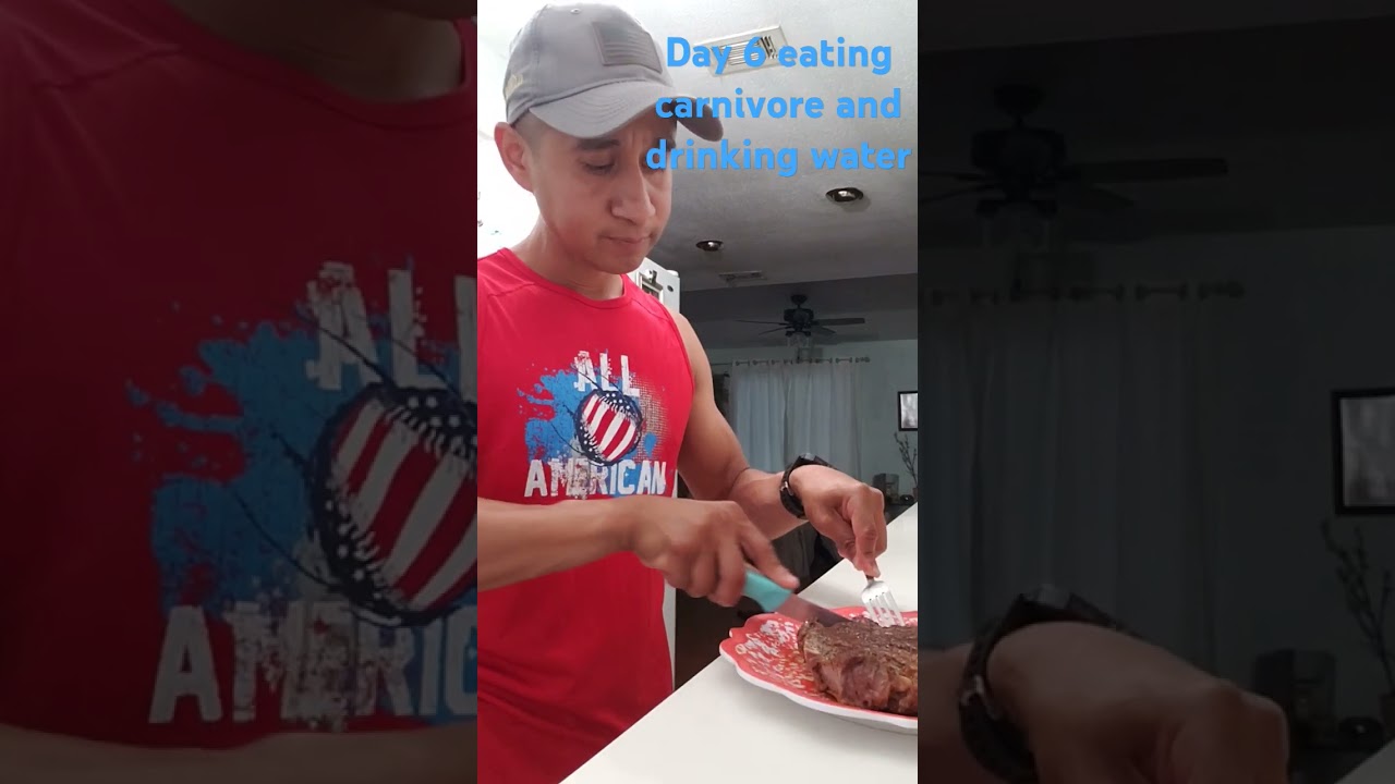 Day 6 Carnivore all meat 