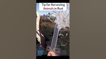 Tip for Harvesting Bear in Rust!!  #cableguyrust #rust #rustpcgame #rustgame #gaming #rusttips