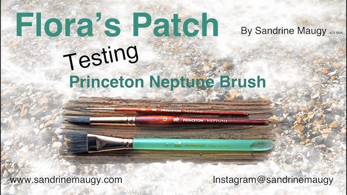 Princeton Brushes Haul - Watercolour Brushes You NEED! 