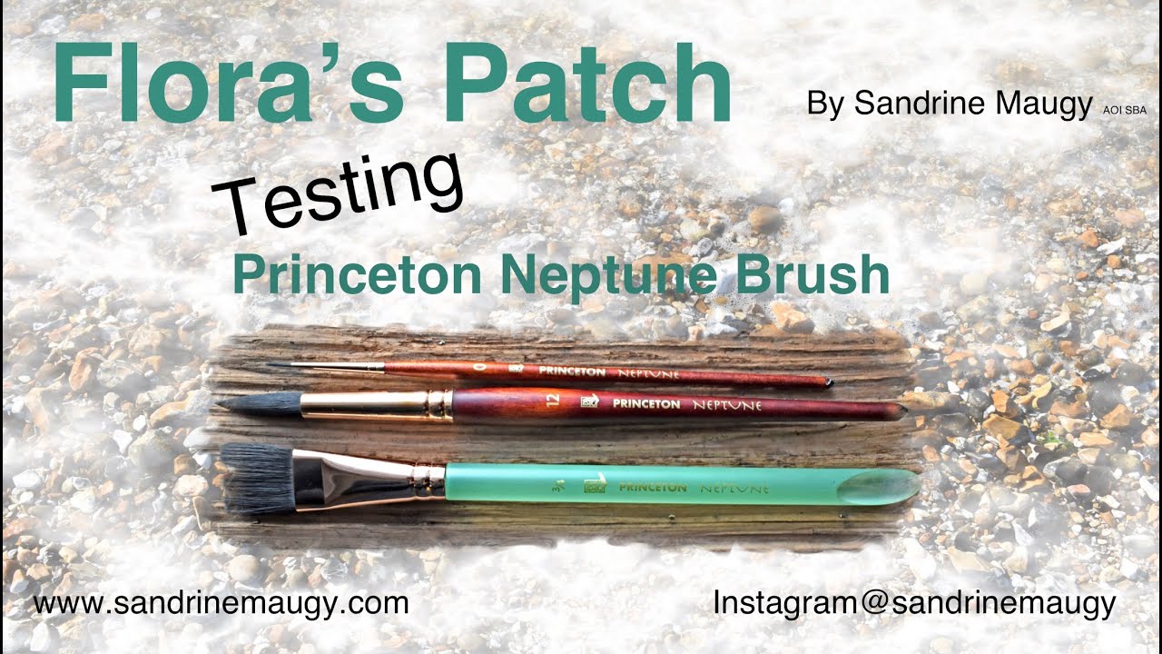 Watercolour Brush Test: Princeton Neptune, review & demo (painting a  quince) 