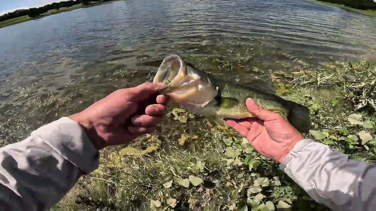 Bass Fishing Midlothian Texas