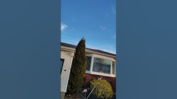 sunrise first day after we set the clocks ahead the first of daylight saving time#shortvideos