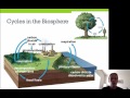 Biogeochemical Cycles Quiz