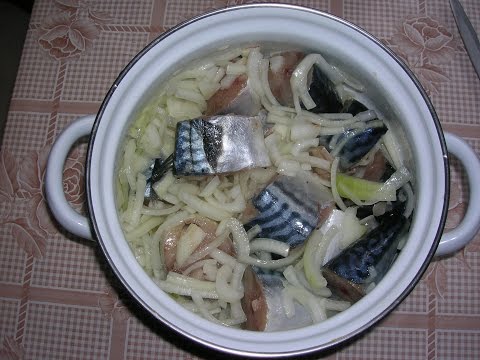 Самый удачный рецепт слабосоленой скумбрии