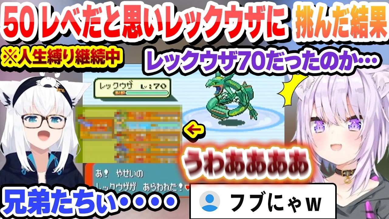 人生縛りを継続し、レックウザを50レベだと思い挑んでしまったおかゆとそれを見たフブさん　これ好きまとめ【猫又おかゆ/ホロライブ/切り抜き】
