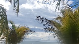 Desde Las Bellas Playas De Trujillo Colon Honduras