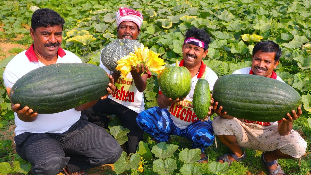 শোল মাছ দিয়ে কাঁচা কুমড়ো আমের টক | Village famous Pumpkin Mango & shol fish curry | villfood Kitchen