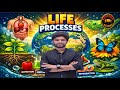 Life Process |Class 10 Full Chapter | Class 10 Science Chapter 5 in Animation