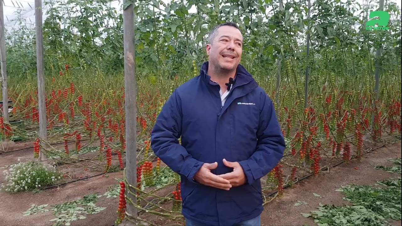 Cómo combatir al frío en los invernaderos