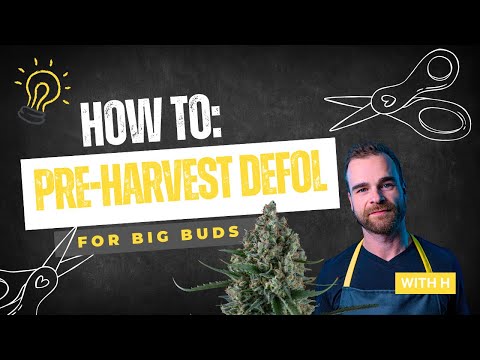 How to Defoliate Pre Harvest