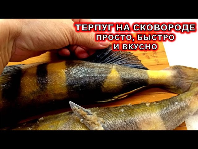 Жареный Терпуг на сковороде ! Рыба за 10 минут - очень вкусный рецепт!