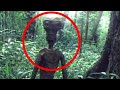 【閲覧注意】カメラが捉えた謎の未確認生物【恐怖映像】Mysterious creatures caught on camera
