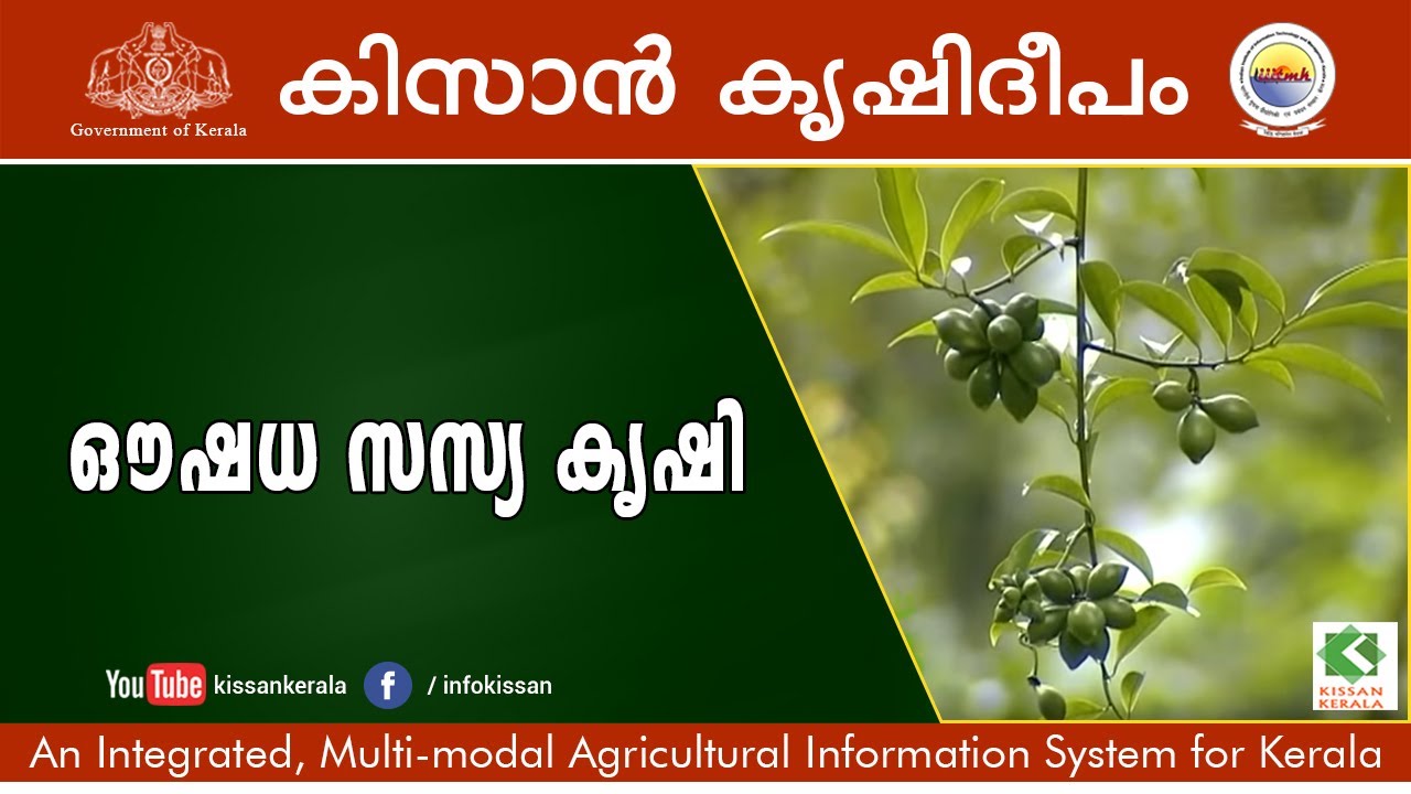 Medicinal Plants, Kollam