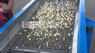 Linear Vibratory Separator for Cashew Nut