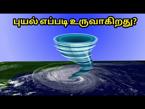 புயல் எப்படி உருவாகிறது? | How cyclones are formed | Science and Tech Tamil