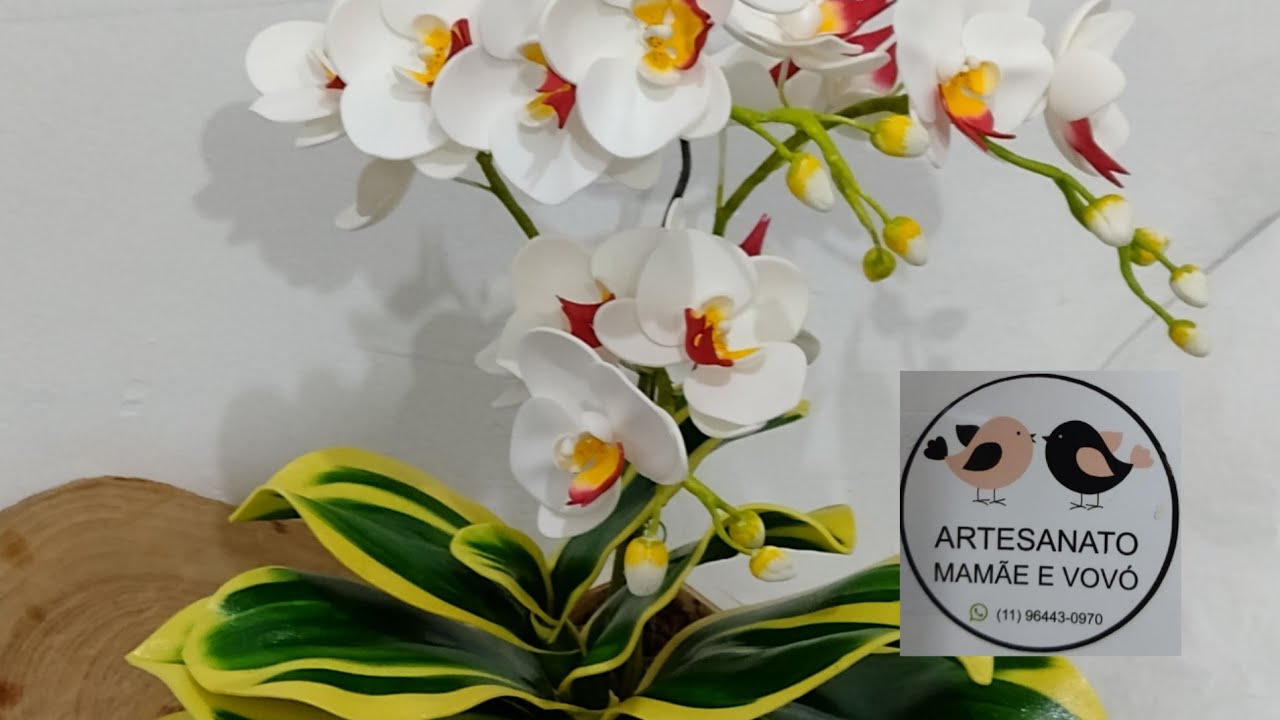 como fazer orquídea phalaenopsis amabilis variegatta com Eva passo a passo