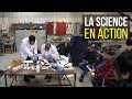 Faune Et Polluants Toxiques Partie 1 La Science En Action Faune Et Polluants Toxiques Partie 1 La Science En Action