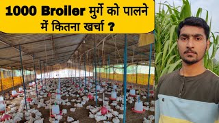 1000 Broiler chicken farming Cost, Poultry farming business