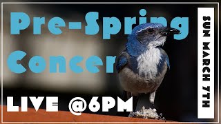 Pre-Spring Concert 2021