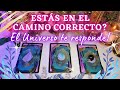 ELIGE UNA CARTA 🔮🕯🌿 ESTÁS EN EL CAMINO CORRECTO? 𖥸 TAROT INTERACTIVO ATEMPORAL 𖥸 ORÁCULO ESPIRITUAL