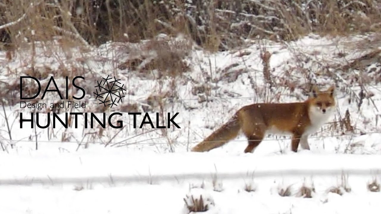 【狩猟】【2026年】【キジ猟】エアライフル　空気銃　定数捕獲。HUNTING TALK 018