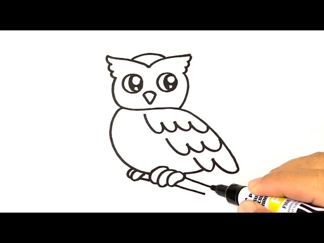 How To Draw Owl Eyes, Draw An Owl Face, Step by Step, Drawing Guide, by  Dawn - DragoArt