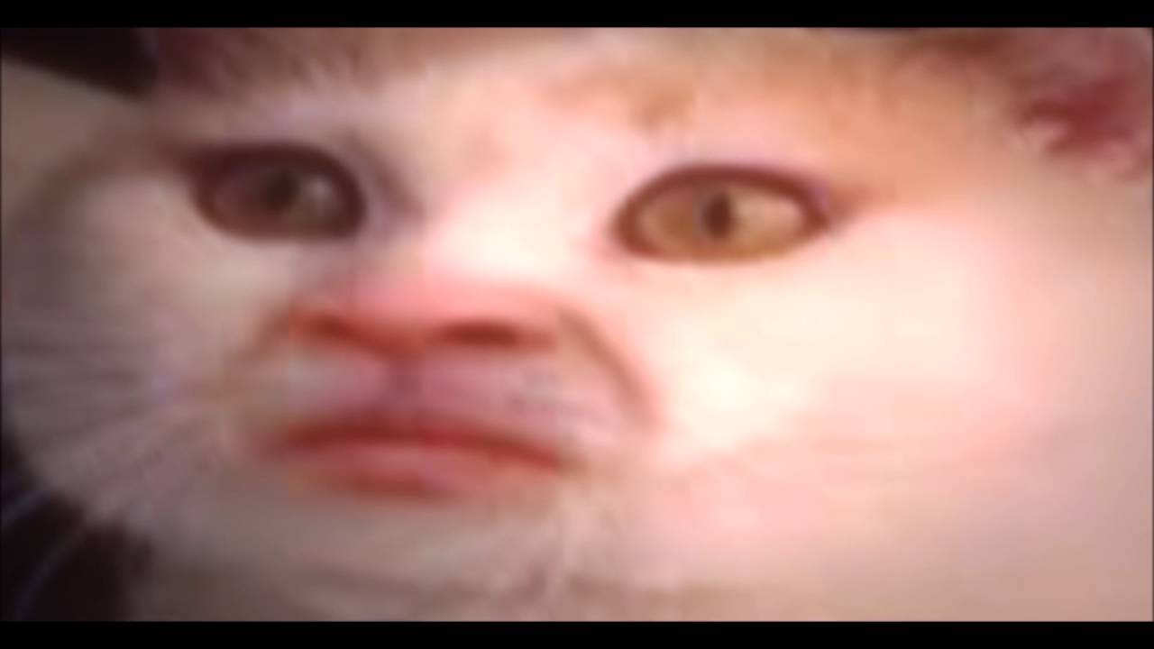 Dark Meme YAAAAA DD Part1of2 Sound YouTube dark-meme-yaaaaa-dd-part1of2-sound-youtube