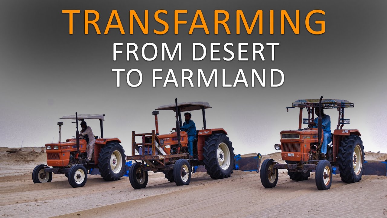From Desert to Harvest – Modern Fodder Farming by Green Impex
