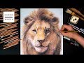 Drawing The Lion King - Simba [Drawing Hands]