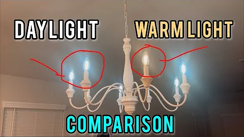 Chandelier Light Bulbs Review: Daylight vs Warmlight #amazonfinds
