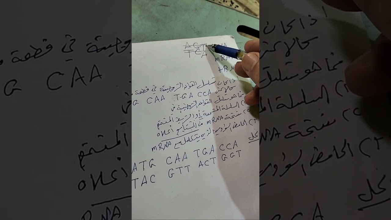 آلية بناء البروتين ( الجزء الاول)