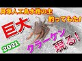 【神回】巨大タコ　貝塚人工島水路の主釣り！ の動画、YouTube動画。