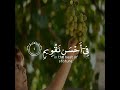 لقد خلقنا الإنسان في أحسن تقويم سورة التين القارئ رعد الكردي