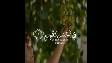 لقد خلقنا الإنسان في أحسن تقويم | سورة التين | القارئ رعد الكردي