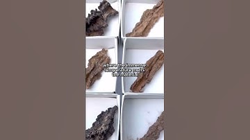 Thumbnail of The Secret Art of Creating Fulgurites #nature #sand