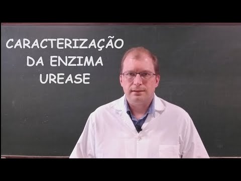 Vídeo: Jaburetox: Atualização De Um Peptídeo Derivado Da Urease