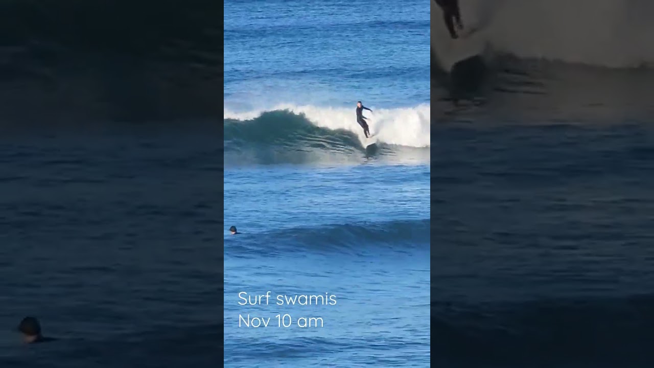 surf swamis Nov 10 surfing Encinitas