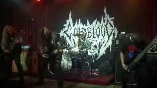 Coldblood - Anthropomorphic Idolatry