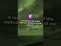 Mesmerizing Auroras: A Cosmic Journey