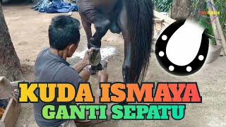 Cara Mengganti sepatu/tapal kuda renggong
