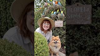 MOLLY AND ME… Where have all the birds gone? Come and see!!