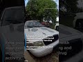 The moment police found hundreds of animals during drug bust in OKC
